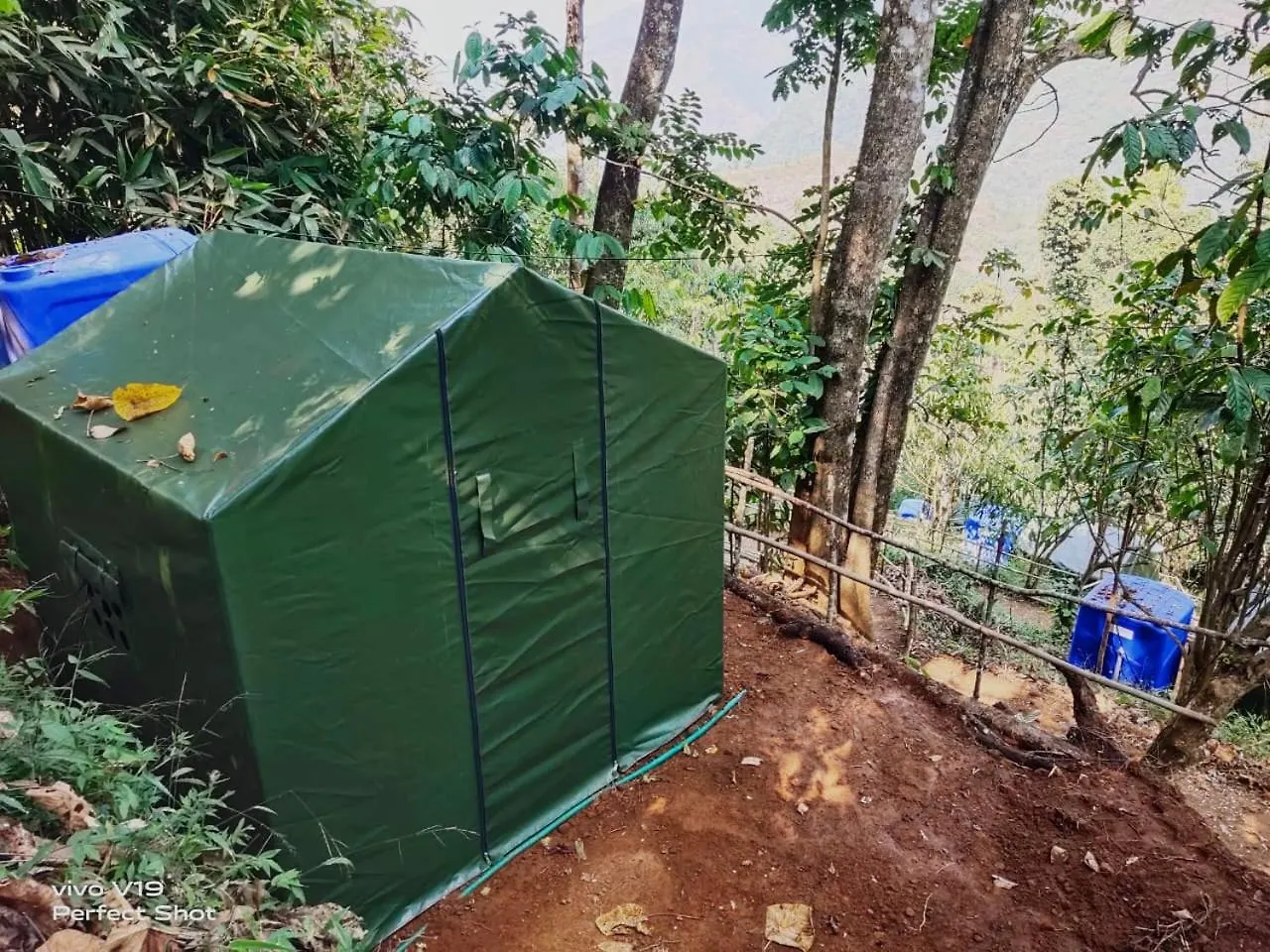 Oerwoud Tentcamp Viripara India
